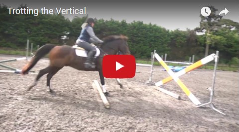 Trotting The Vertical Jumping Exercise
