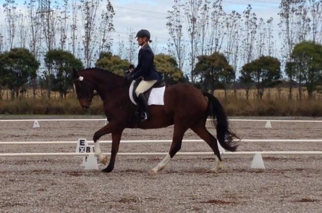 What is the correct Dressage Frame