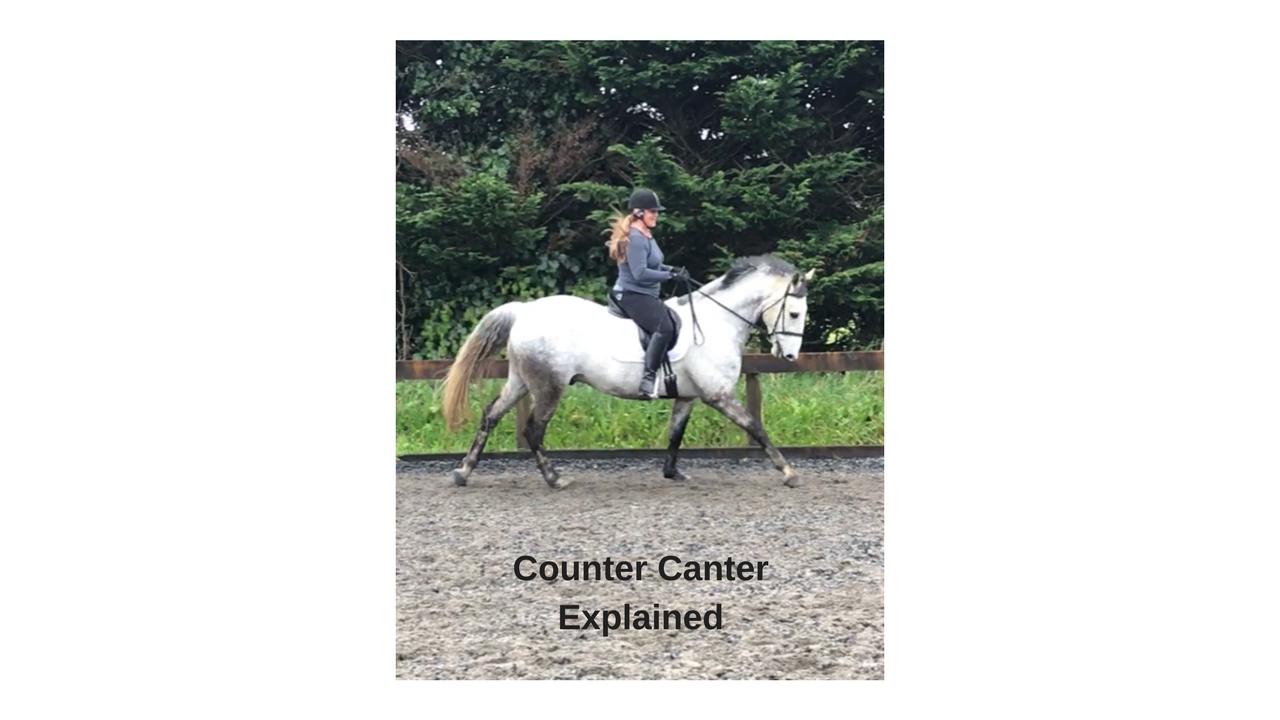 How to ride Counter Canter