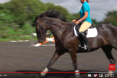 Kirstin Kelly explains how to improve your canter strike off.