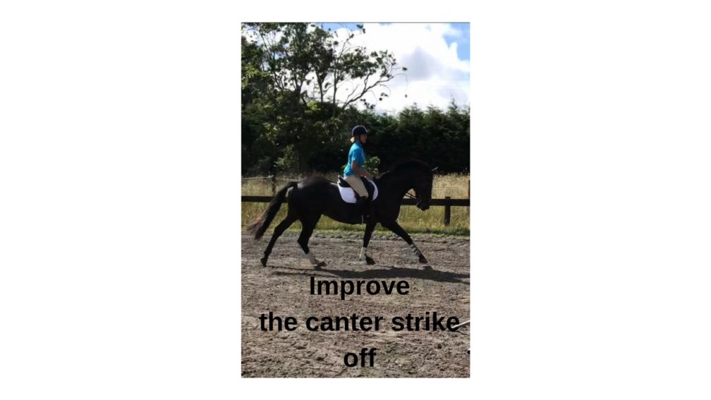 How to teach Rein back . Kirstin Kelly Equestrian