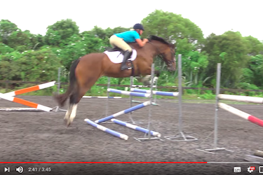 Improve your Show Jumping warm up .