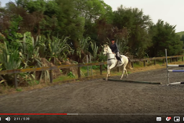 How to make the canter more adjustable with canter poles.