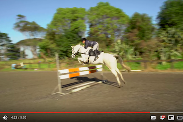 How to find the correct jumping canter.