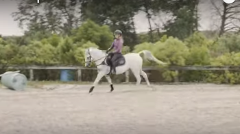 How to improve the canter.