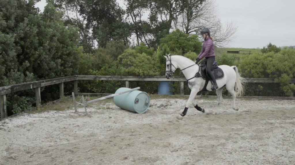How to ride a spooky horse. Kirstin Kelly Equestrian