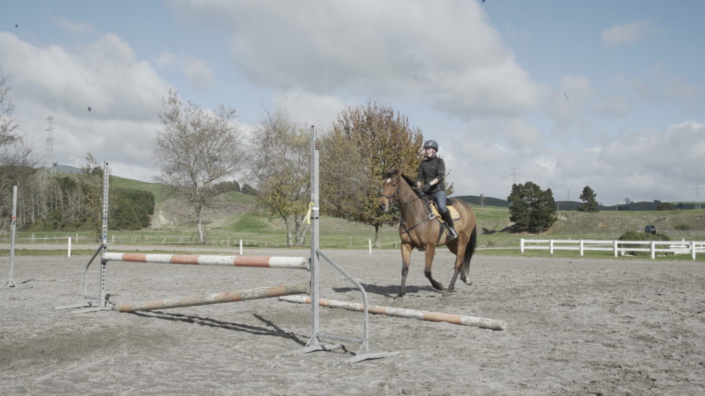 How to improve your horses jump by trotting the vertical. Kirstin