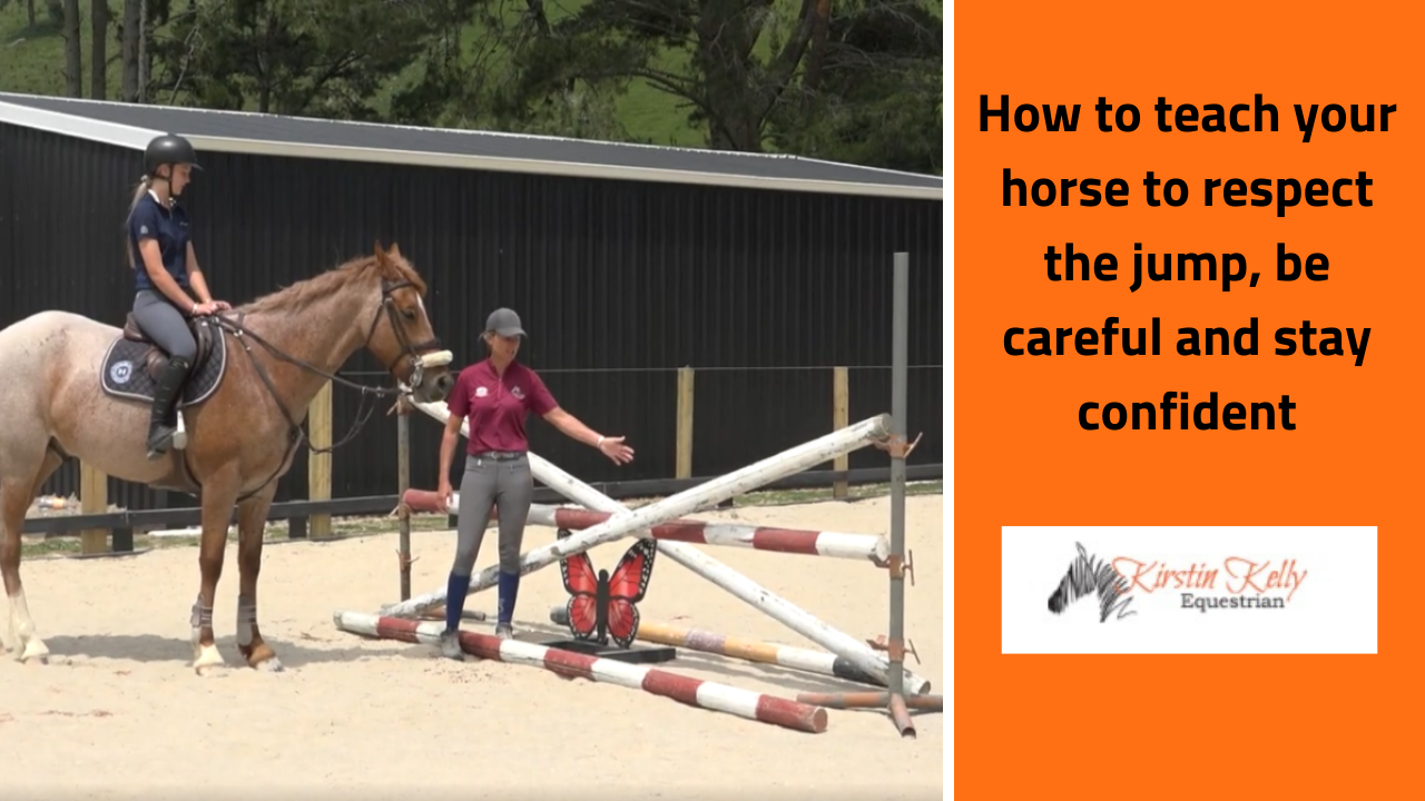 How to train the horse to be careful and respect the front rail.