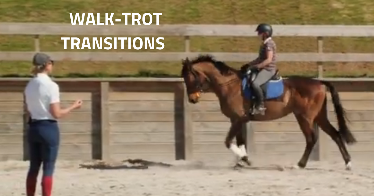 Why the walk-trot transition is the first step to riding collection.