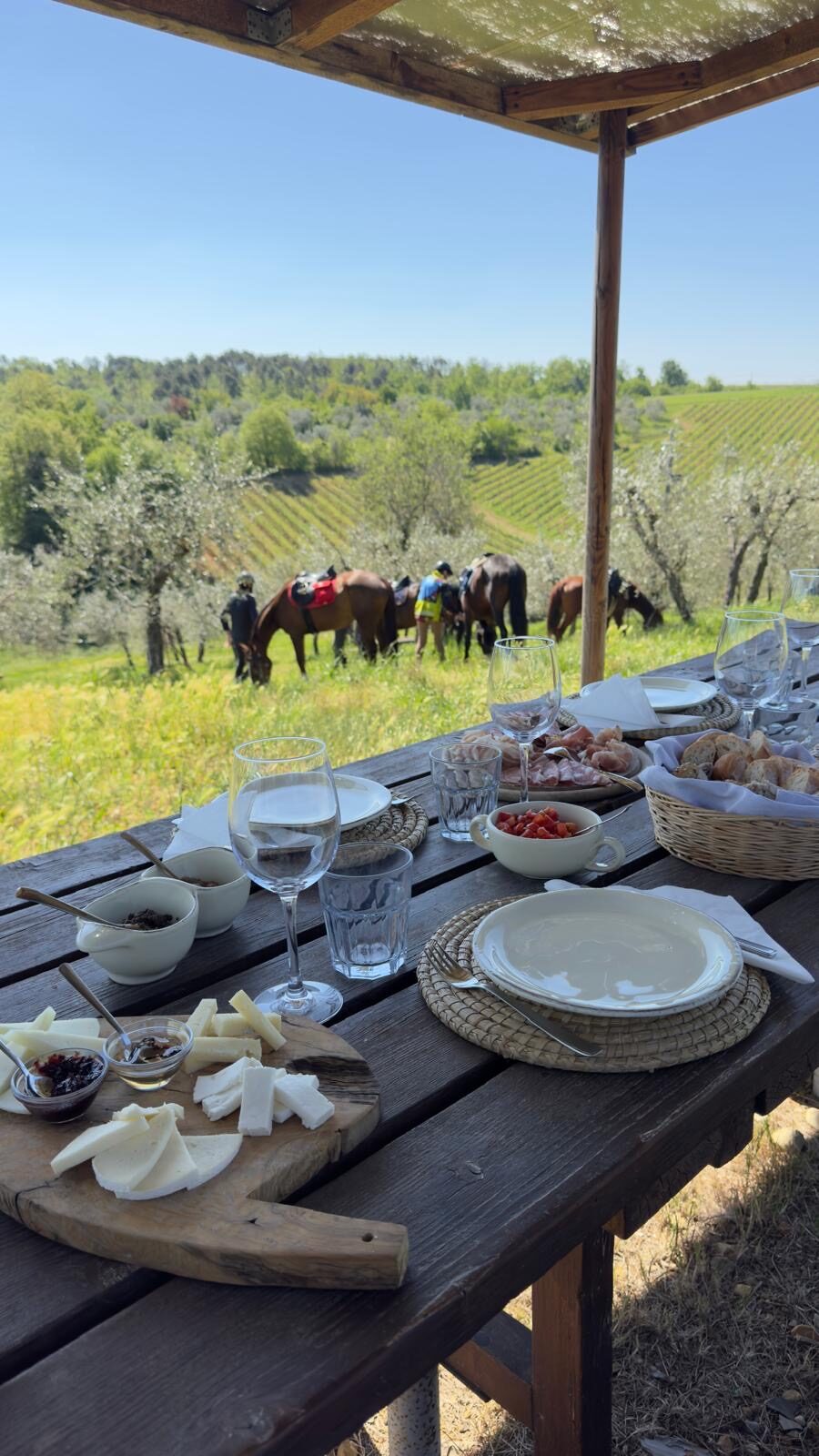 Tuscan lunch with horses in the vineyard