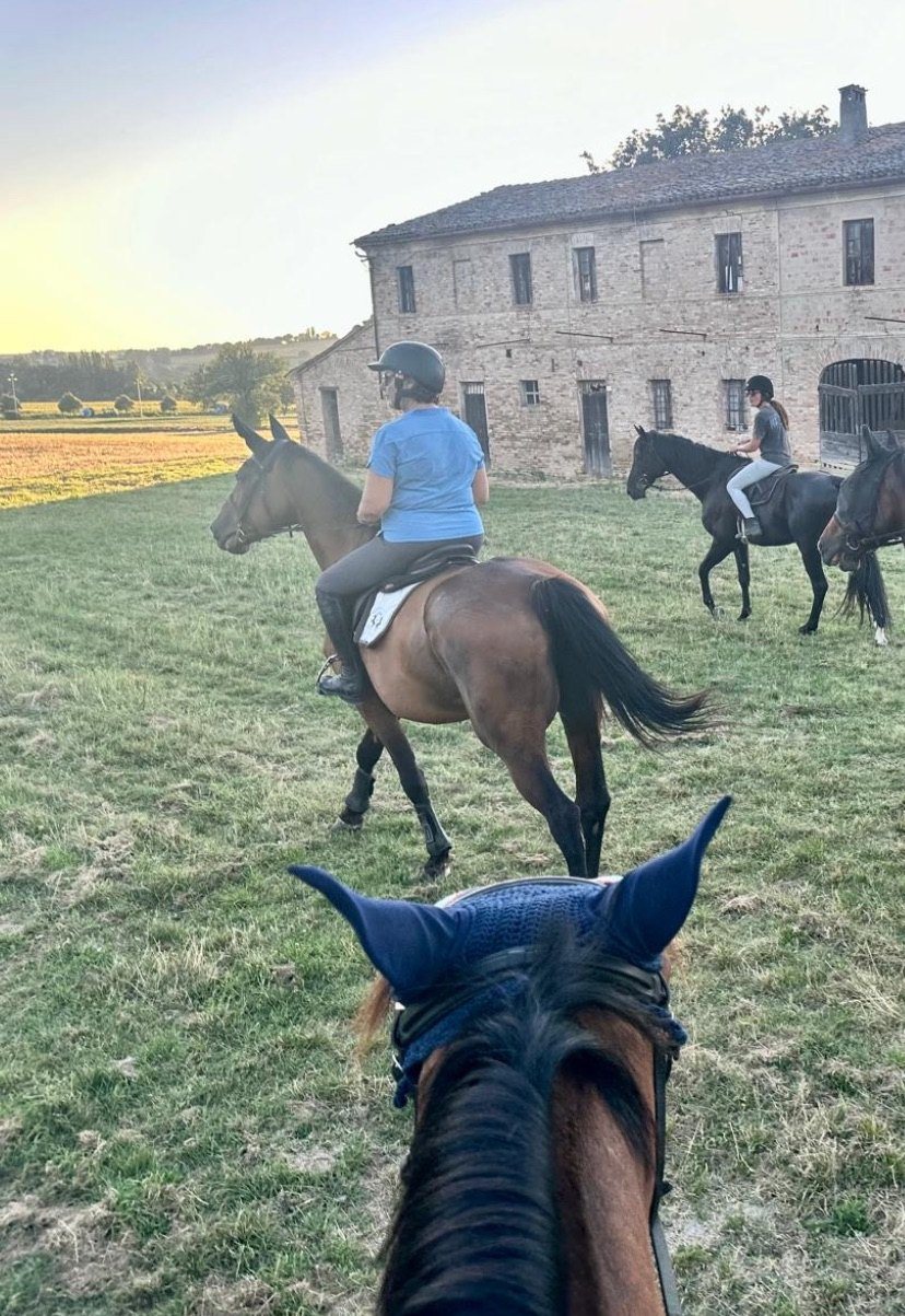 A riding lesson at the farm near Pesaro